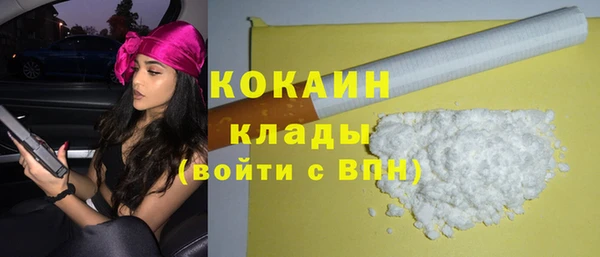 индика Балабаново