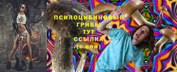 индика Балабаново