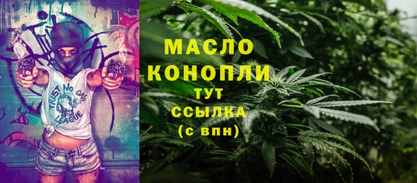 индика Балабаново