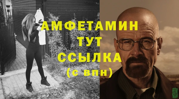 индика Балабаново