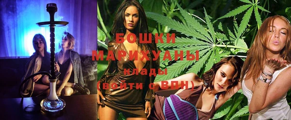 индика Балабаново