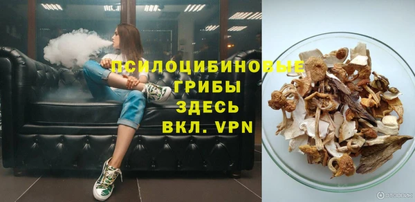 ПСИЛОЦИБИНОВЫЕ ГРИБЫ Белокуриха