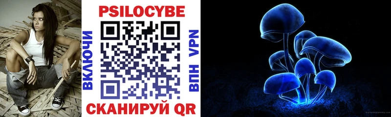 blacksprut сайт  Чехов  Псилоцибиновые грибы мухоморы 